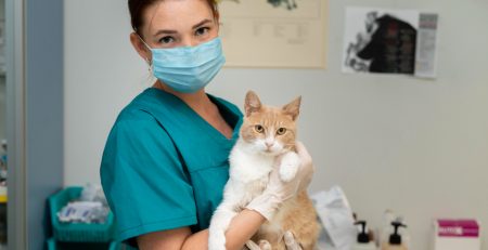 Auxiliar en Veterinaria UTB